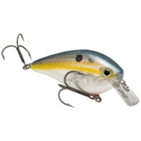 Strike king Lures - Crankbait Square Bill KVD Square Bill 2.5 - 2.5 inch - HCKVDS2.5-500 - Clear Ghost Sexy Shad