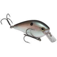 Strike king Lures - Crankbait Square Bill KVD Square Bill 2.5 - 2.5 inch - HCKVDS2.5-568 - Green Gizzard Shad