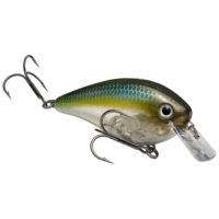Strike king Lures - Crankbait Square Bill KVD Square Bill 2.5 - 2.5 inch - HCKVDS2.5-585 - Sexy Ghost Minnow
