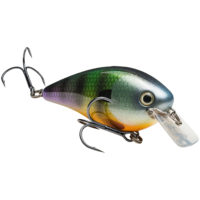 Strike king Lures - Crankbait Square Bill KVD Square Bill 2.5 - 2.5 inch - HCKVDS2.5-651 - Neon Bluegill