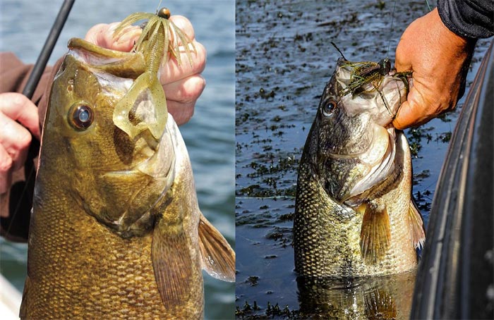NINE TECHNIQUE SPECIFIC JIGS EVERY SERIOUS BASS FISHERMAN NEEDS